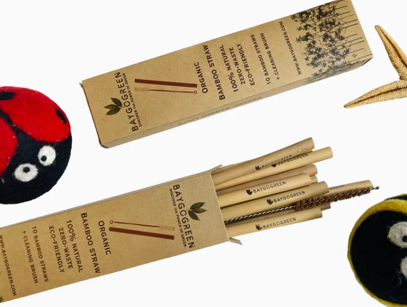 Bamboo Straw Set of 10