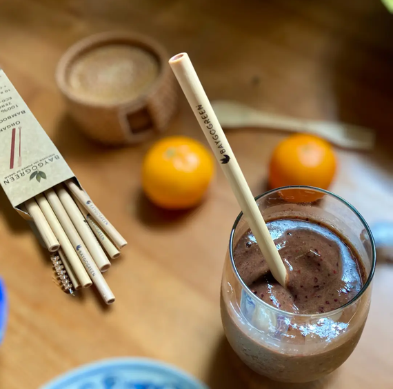 Bamboo Straw Set of 10