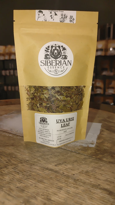 Uva Ursi Leaf, whole 1.5 oz