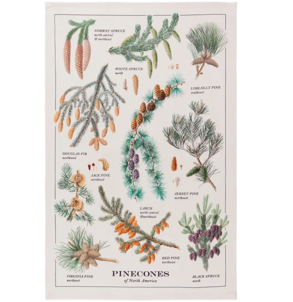 Pinecone Dishtowel